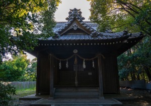 SBJ05919