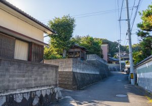 SBJ00536