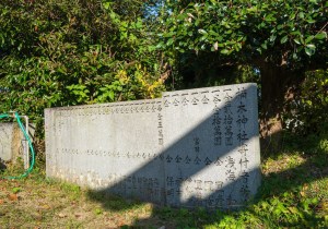 SBJ00543
