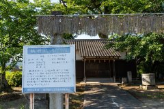 DSC05987