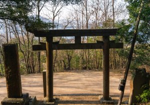SBJ01975