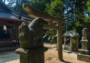 DSC00656