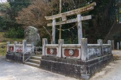 DSC00667