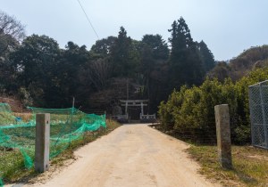 DSC00668