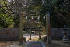 DSC08689