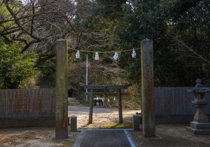 DSC08689