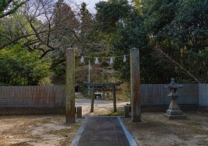 DSC08690