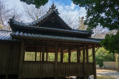 DSC08704-Enhanced-SR