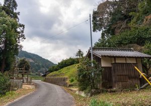 DSC08804