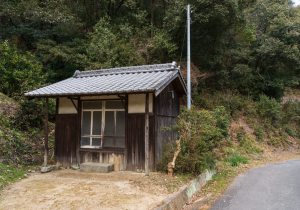 DSC08806