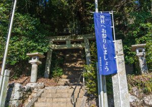DSC08176