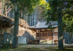 DSC08220-Enhanced-NR