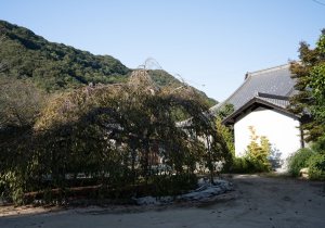 DSC09447