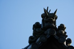 DSC09454