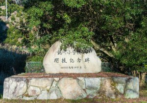 SBJ05329