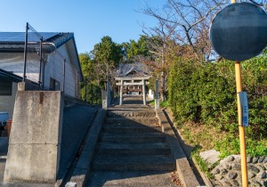 SBJ00385