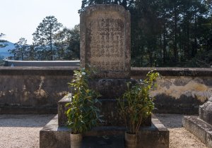 SBJ03578