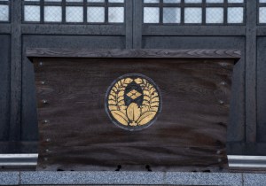 SBJ06491