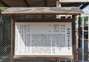 SBJ02529