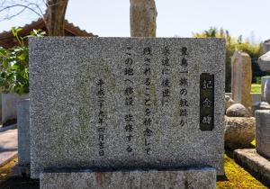 SBJ06842