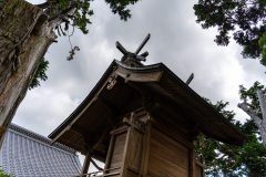 DSC08629