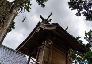 DSC08629