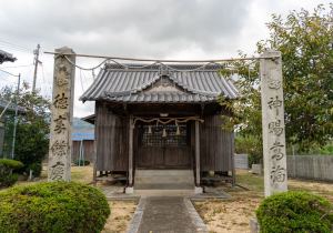 DSC08631