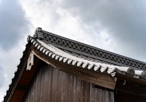 DSC08652