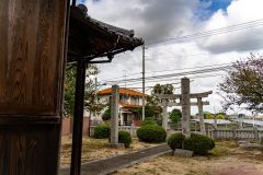 DSC08653