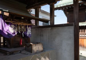 SBJ05722
