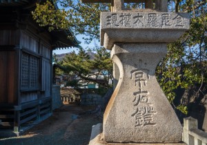 SBJ01926