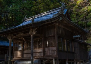DSC03960