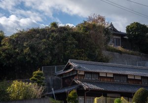 DSC06903