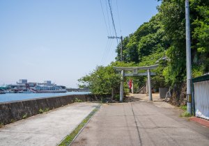 SBJ00905
