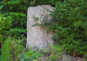 SBJ00953