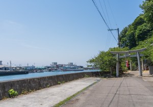 SBJ00955