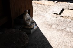 DSC03955
