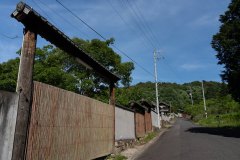 DSC03974