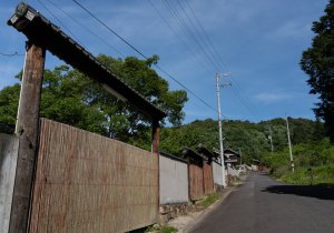 SBJ03974