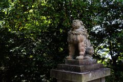 DSC04928