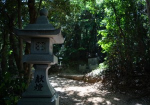 DSC04930