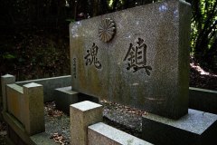 DSC04931