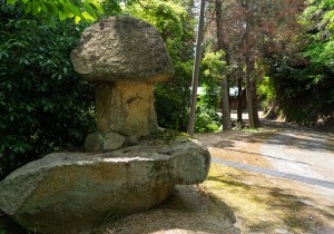 DSC04974