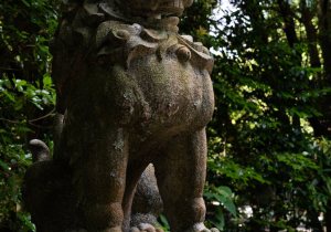 DSC04987