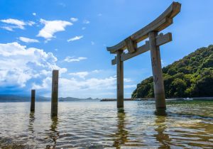 SBJ08602