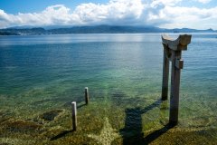 DSC08607