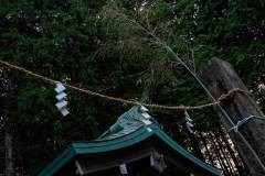 DSC00001