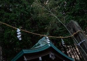 DSC00001