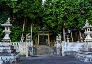DSC09886-2