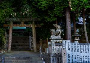 DSC09889